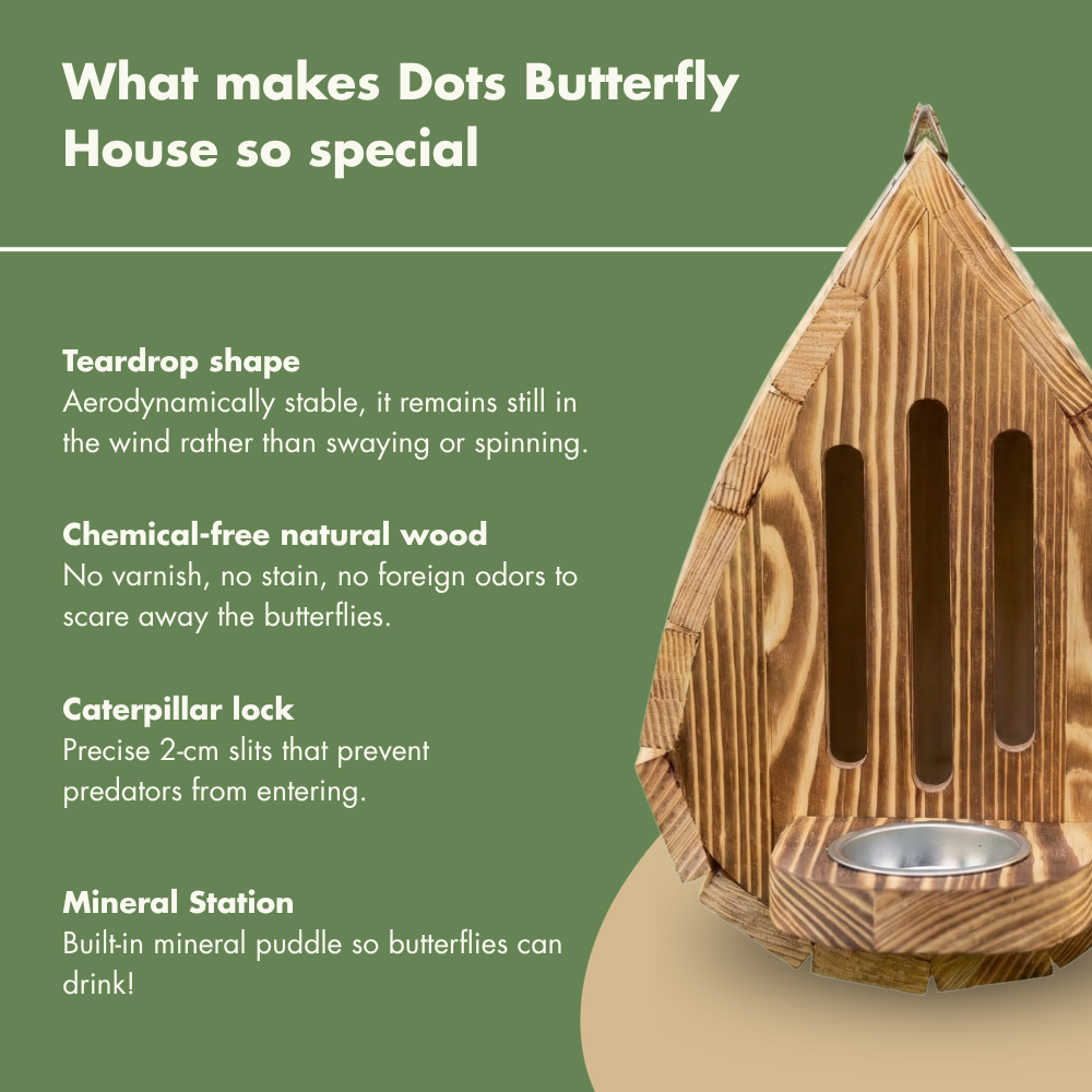 Dot´s Handmade Butterfly Home