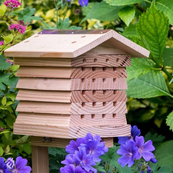 BeeTreasure - Wild Bee Hotel