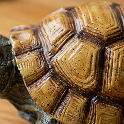 Dot's Turtle Flower Pot