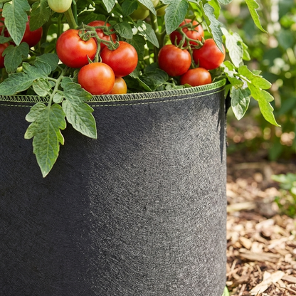 Breathable Fabric Plant Grow Bags
