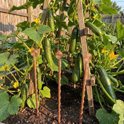 Henri's Plant-Boosting Copper Garden Stakes (Set of 3)
