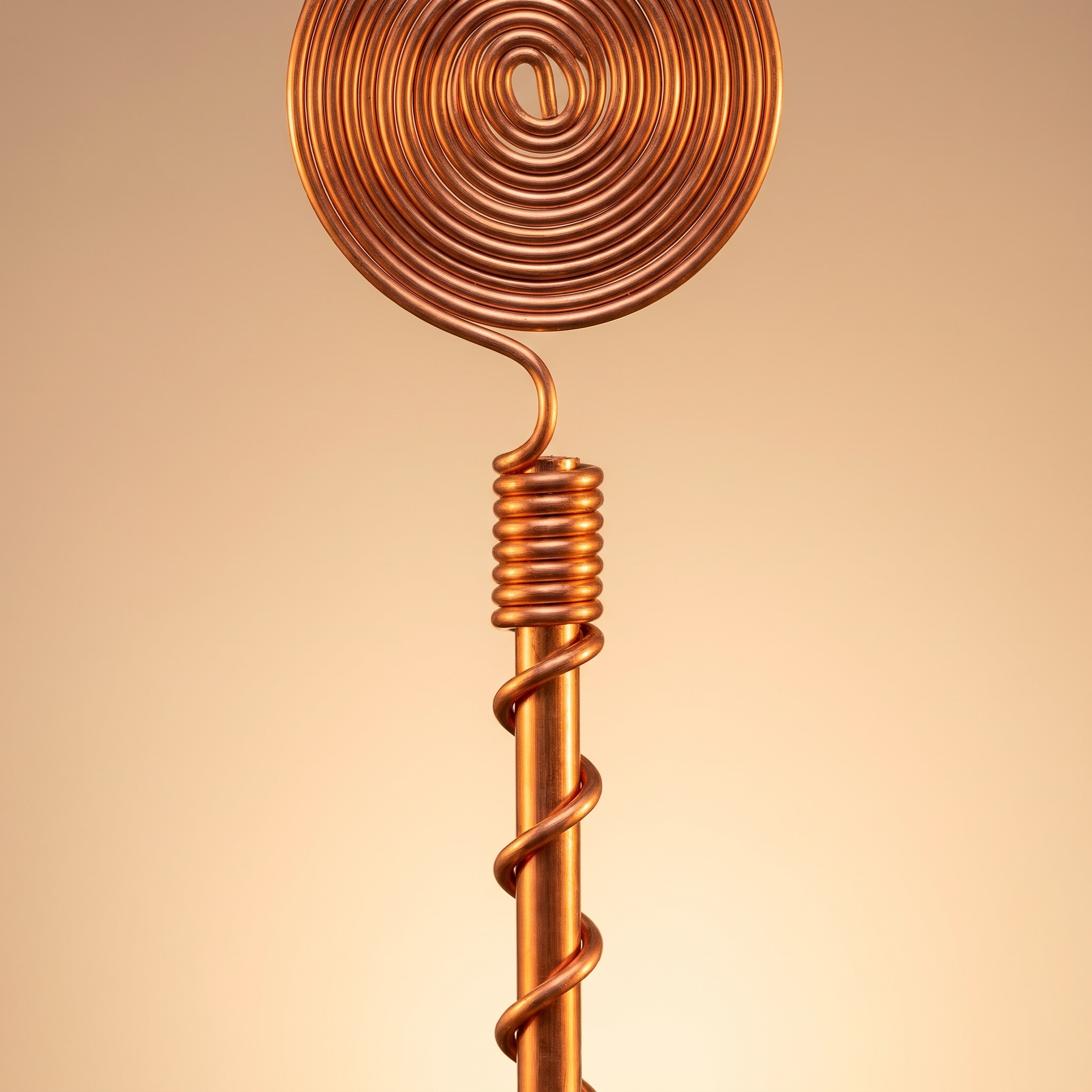 Copper antennas placed in a raised garden bed in New Mexico.